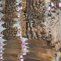 صادر کننده مو