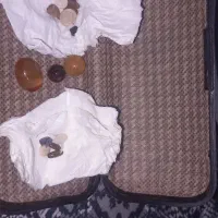 مهره اصل برای گشایش کار و رزق روزی،محبت