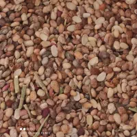 فروش محصولات ارگانیک خانگی،فقط تماس پاسخگو هستم