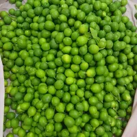 خریدار انواع مرکبات