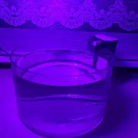 شیشه اکواریوم