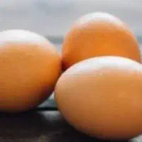 تخم مرغ محلی نطفه دار