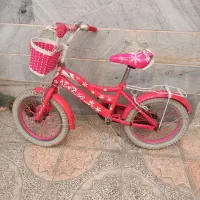 دوچرخه