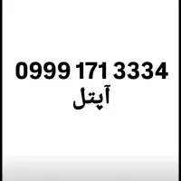 09991713334