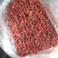 زرشک پفکی درجه یک