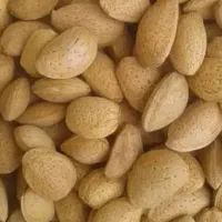 بادام آبی سنگک