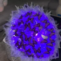 دسته گل پروانه ای تخفیف به مناسبت روز دختر