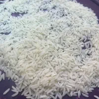 برنج طارم هاشمی اصل