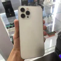 12 پرومکس