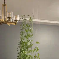 لوستر|لوستر و چراغ آویز|تهران, حکمت|دیوار