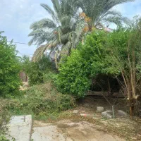 باغبانی و نصب تور