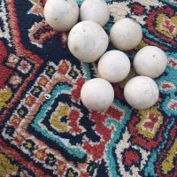 سنگ اسیاب