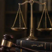 لایحه حرفه ای