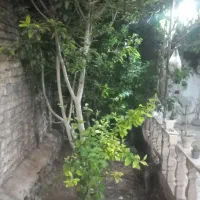 تهاتر ویلایی ورجان با واحد سه خواب قم
