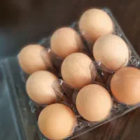 تخم مرغ محلی