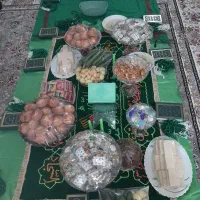 مداح اهل بیت