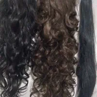 کلاه گیس ۱عدد|آرایشی، بهداشتی، درمانی|شیراز, جوادیه|دیوار