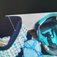 کریر ونانو وپشه بند