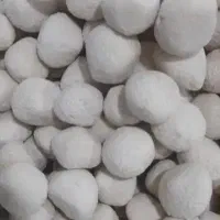 کشک و  تلف گوسفند