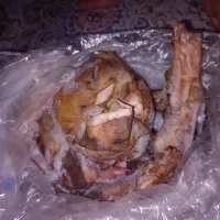کله پاچه نرینه تمیز فوری