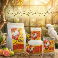 سرلاک، غذای جوجه سرلاکی طوطی باراتا ارسال رای گان