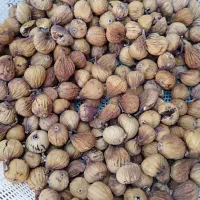 انجیر خشک آفتابی