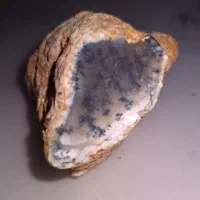سنگ شجر درختی