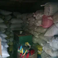 جو دیم 6تن