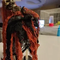 عروسک اسکلتی باطری خور صدا دار
