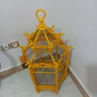 قفس عروس هلندی
