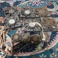 فن ماینر