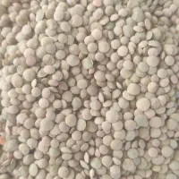 عدس|خوردنی و آشامیدنی|اردبیل, |دیوار