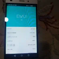 گوشی هواوی پی هشت لایت