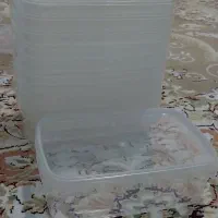 ظرف غذا