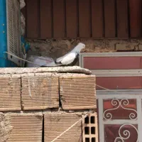 دم سیاه