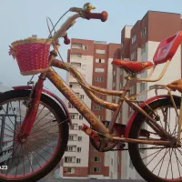 دوچرخه ۱۶ دخترانه