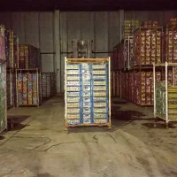 استخدام انباردار با تجربه