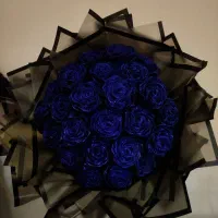 رز ترند روبانی