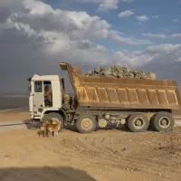 اف ۱۲ اینترکولر کمپرسی