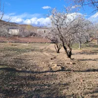 فروش چند قطعه زمین در روستای  ننیز ودره دیویه