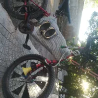 دوچرخه