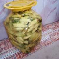 ترشی بیلهر درجه یک