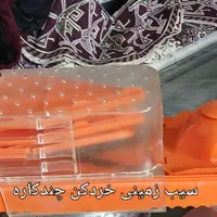 چرخ گوشت سرخ کن|سایر لوازم برقی|الوند, |دیوار