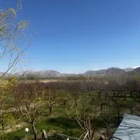 ویلا-باغ