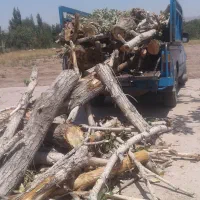 خدمات خرید و برش انواع چوب تسویه سر باسکول
