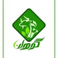 استخدام نیروی تولید و بارگیری