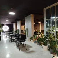 جذب نیرو سالندار