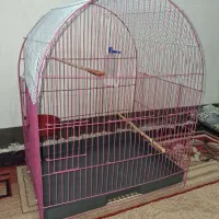 قفس پرنده