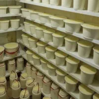 فروشنده نیمه وقت لبنیات سنتی