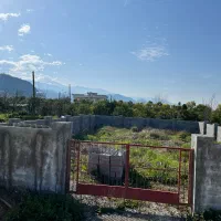 زمین ۲۵۱ متری در نیاسته رامسر